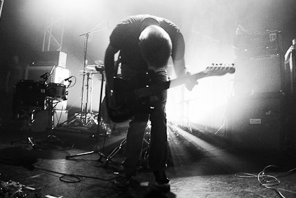 the wombats